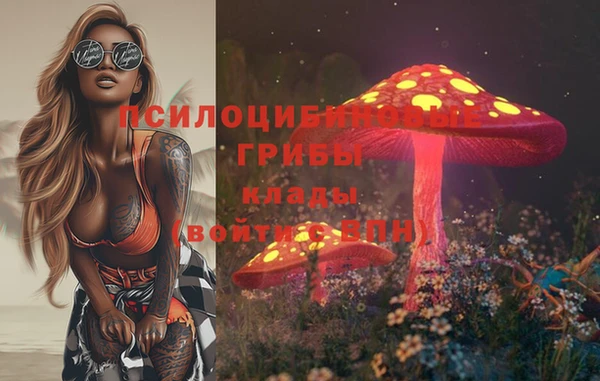 MDMA Богородицк